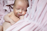 Baby Harper | Newborn Portrait Session