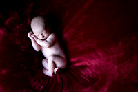 Bodhi | Newborn Portrait Session