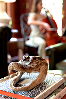Sip and Stroll | Children's Home Society